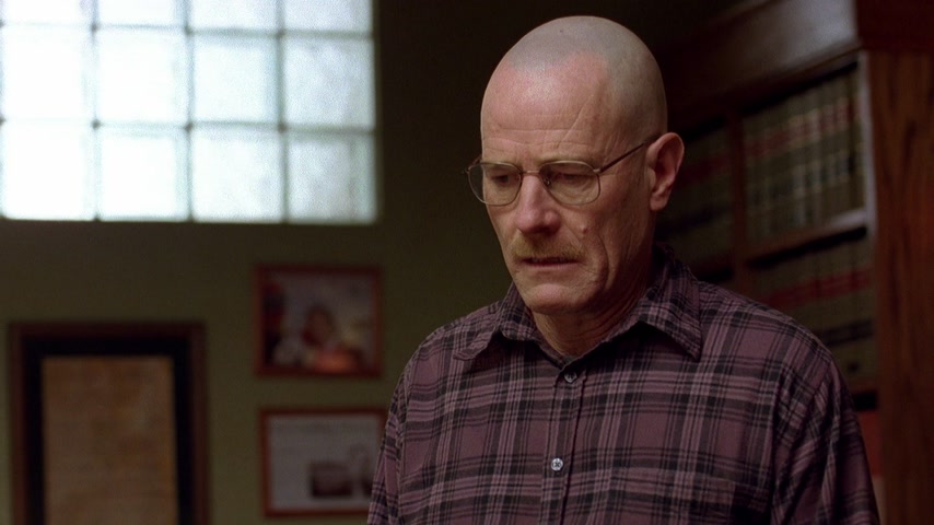 Феникс | Во все тяжкие | Сезон: 02 | Эпизод: 12