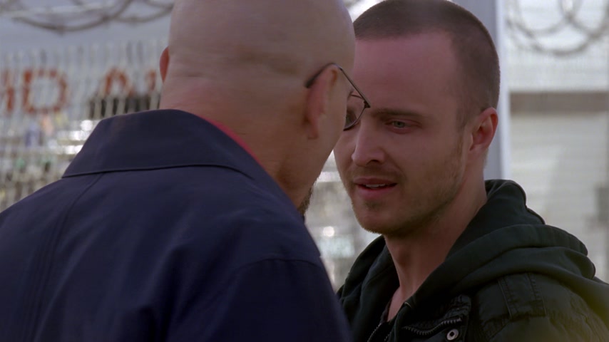 Загнанный в угол | Во все тяжкие | Сезон: 04 | Эпизод: 06