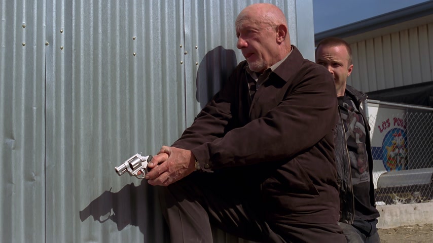 Жучок | Во все тяжкие | Сезон: 04 | Эпизод: 09