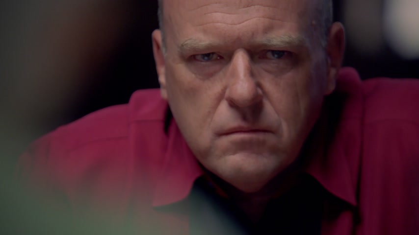 Без лица | Во все тяжкие | Сезон: 04 | Эпизод: 13