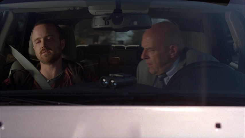 Бешеный пёс | Во все тяжкие | Сезон: 05 | Эпизод: 12