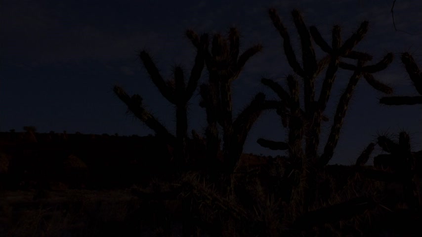 Пилот Скриншот 1