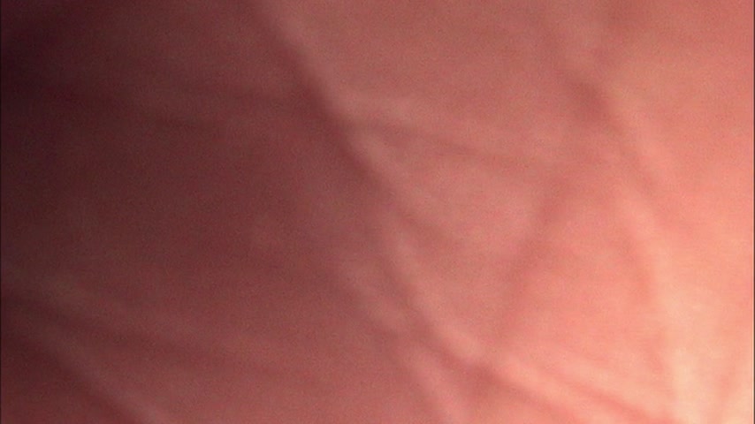 Пилот Скриншот 4