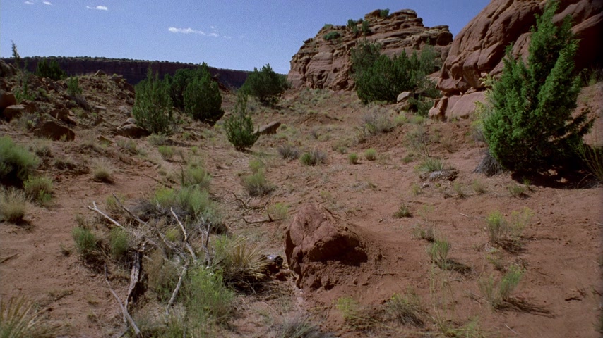 Кот в мешке… Скриншот 57