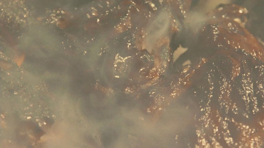 Раковый больной Скриншот 4