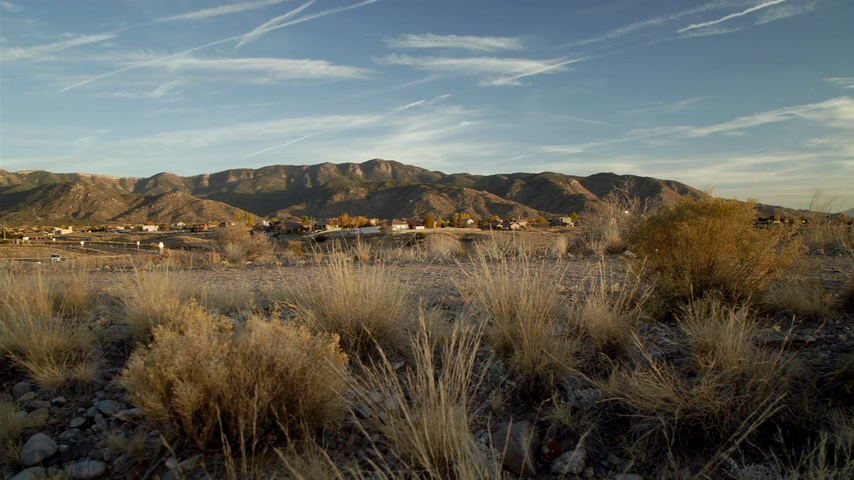 Пригоршня ничего Скриншот 6