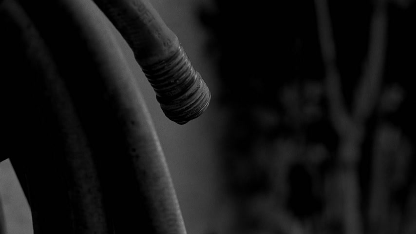 Семьсот тридцать семь Скриншот 1