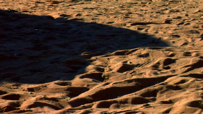 Попандос Скриншот 2