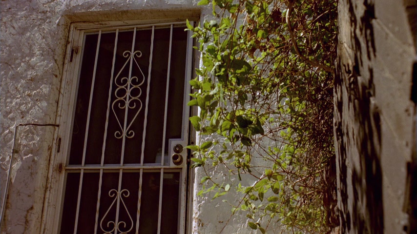 Укус мёртвой пчелы Скриншот 14