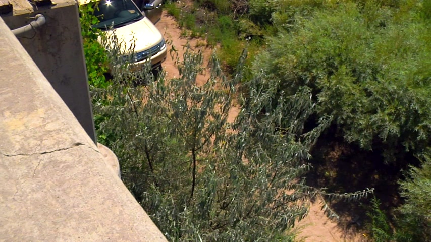 Бой товара Скриншот 56