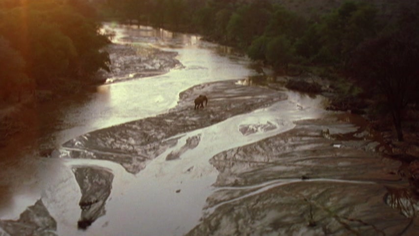 Феникс Скриншот 42