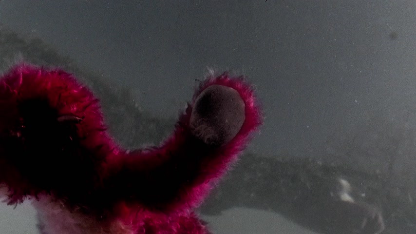 Альбукерке Скриншот 57