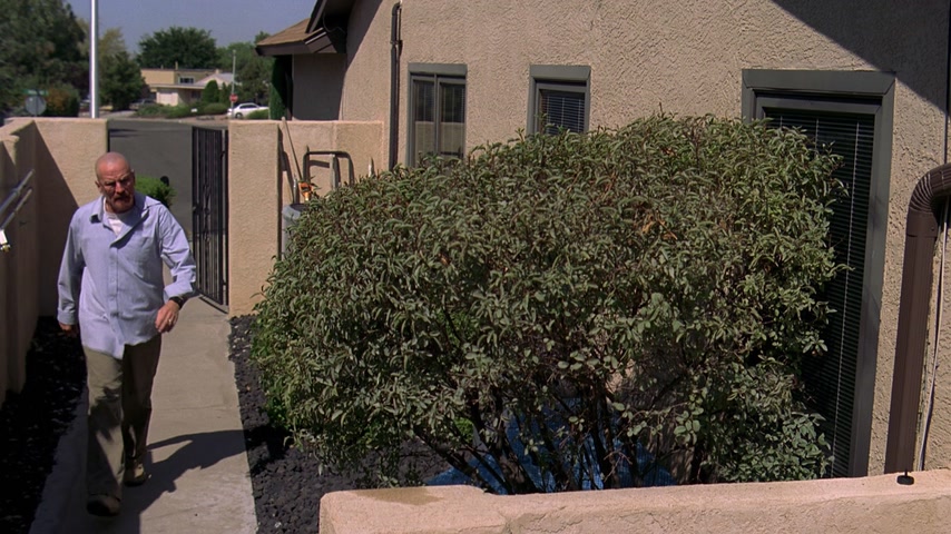 Безымянный конь Скриншот 50