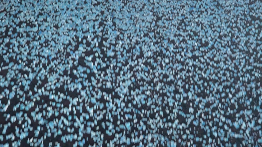 По-кафкиански Скриншот 2