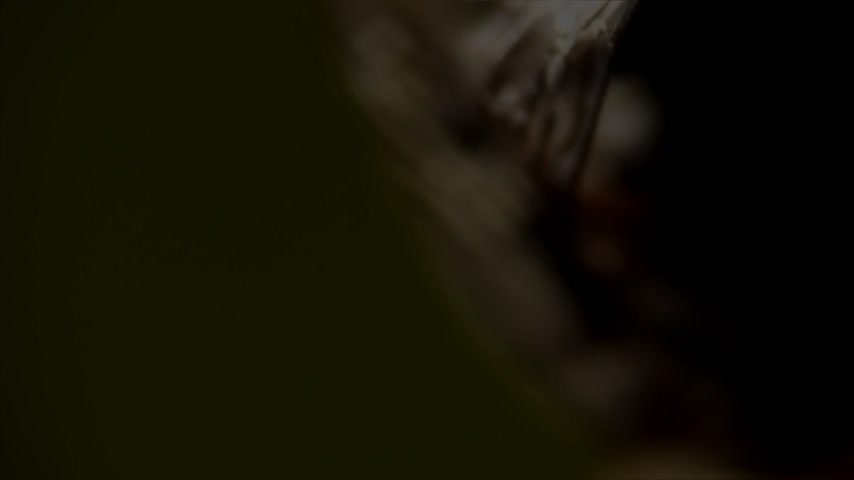 Муха Скриншот 1