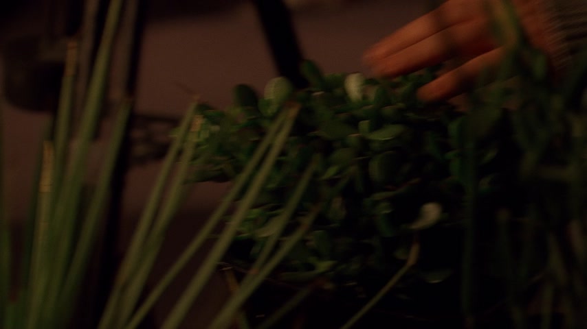 Полная мера Скриншот 28