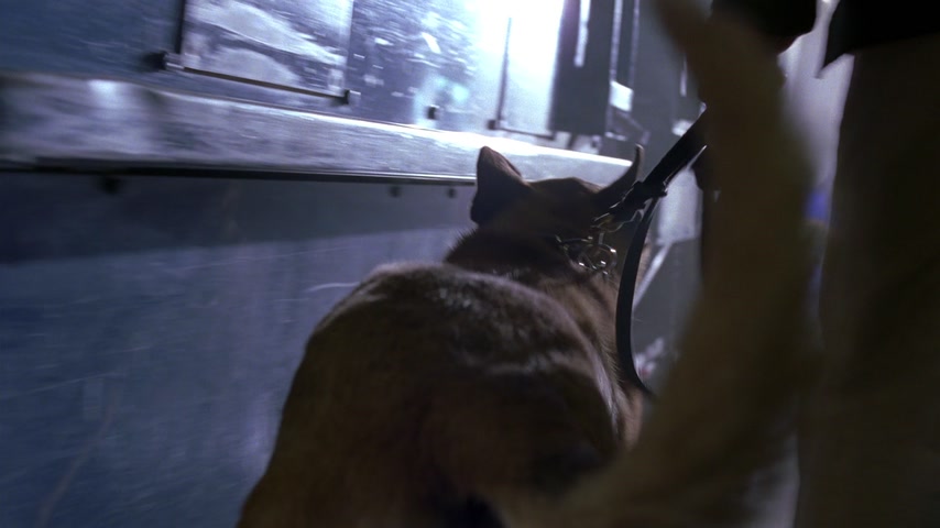 Конец света Скриншот 16