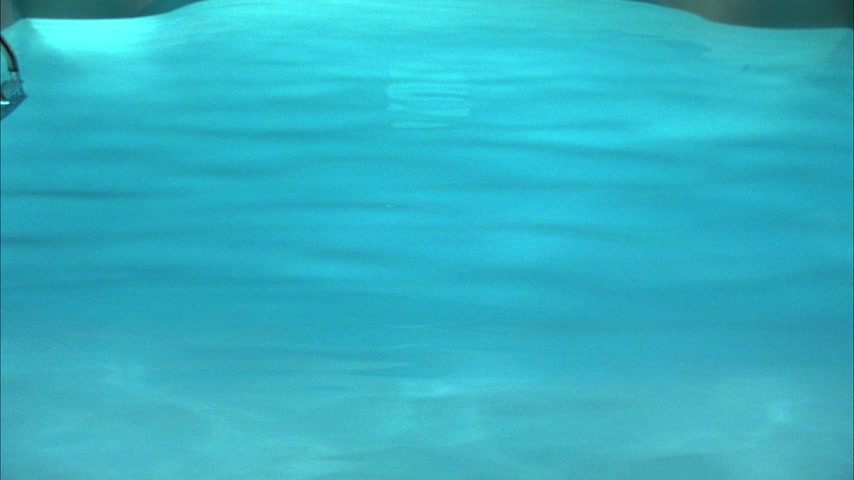 Пятьдесят один Скриншот 31