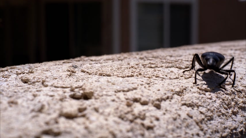 Летящий над всем Скриншот 53