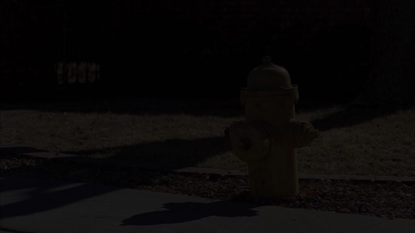 Бешеный пёс Скриншот 1